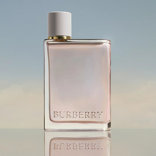 Burberry Her Women's 100ml Tester